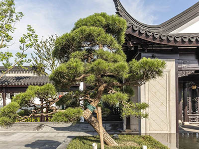 城投·璟雲里楼盘相册欣赏