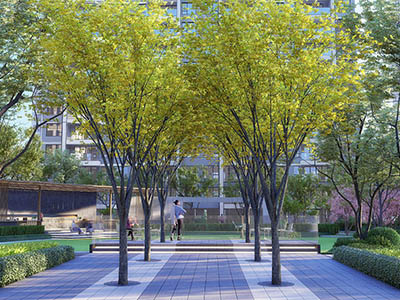 中铁建·熙语楼盘相册欣赏